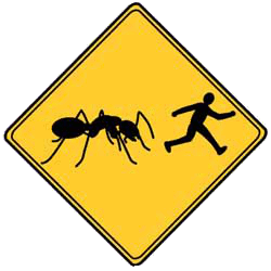 ants